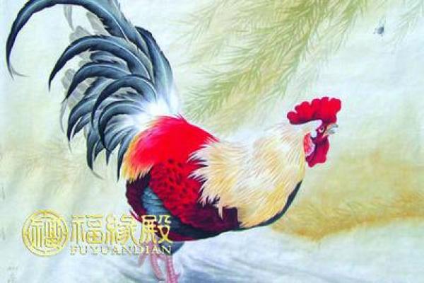 2017年的生肖与命运：探寻属鸡人的性格与未来