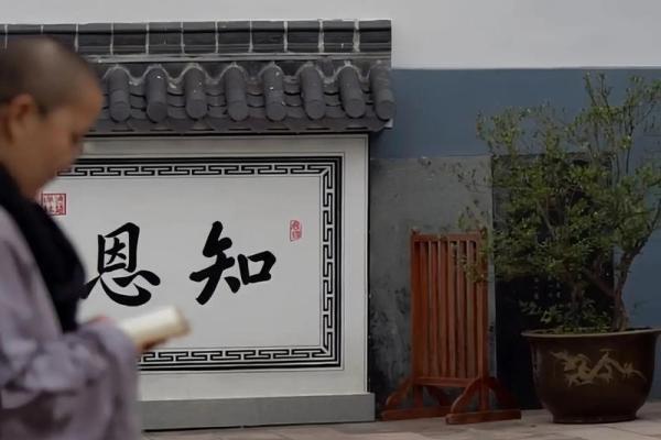 1997年6月16日出生的你,命运的秘密与精彩人生 1997年6月16日出生的你,命运的秘密与精彩人生