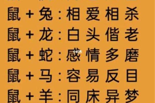 72年鼠年出生的人性格与命运解析