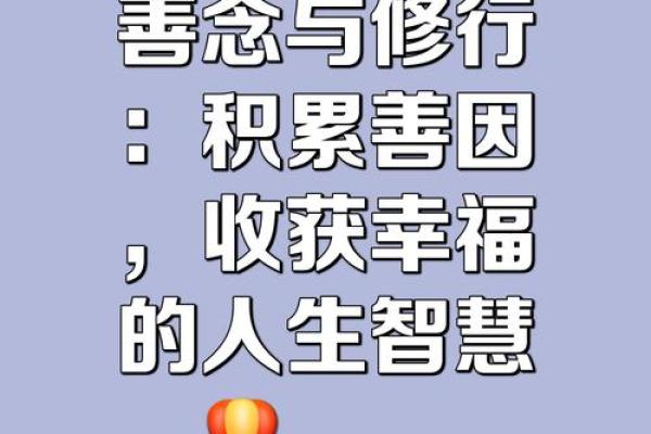 探寻生命的意义：在日常中发现快乐与智慧的旅程