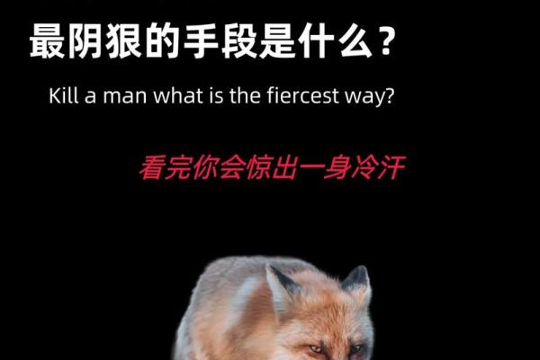 19870415出生的人生密码：命运与性格的深度解析