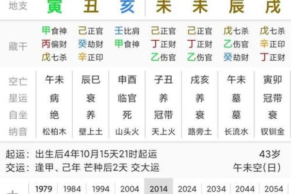 探秘木命鸡与水命猪：性格、运势与生活的奇妙差异