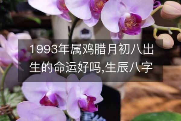 48年出生的人命运解析：如何过上精彩人生