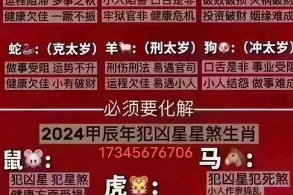 中国传统命理:生肖与命运的奇妙关系 中国传统命理:生肖与命运的奇妙关系
