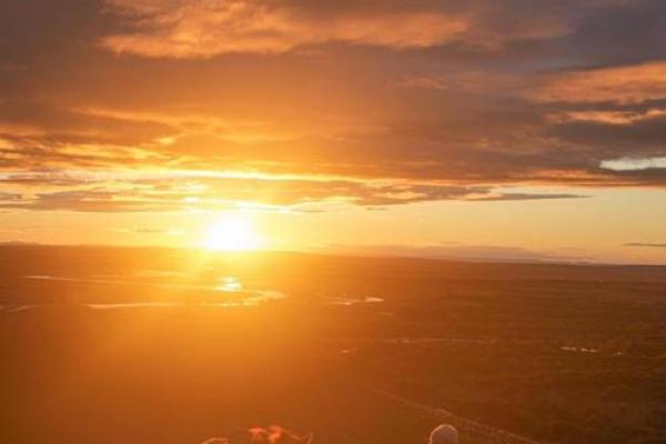 戌时出生的命理解析:8.20的神秘人生旅程 戌时出生的命理解析:8.20的神秘人生旅程