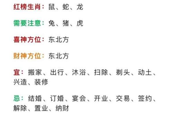 1955年出生者的生肖与命运解析：吉凶与人生的关键