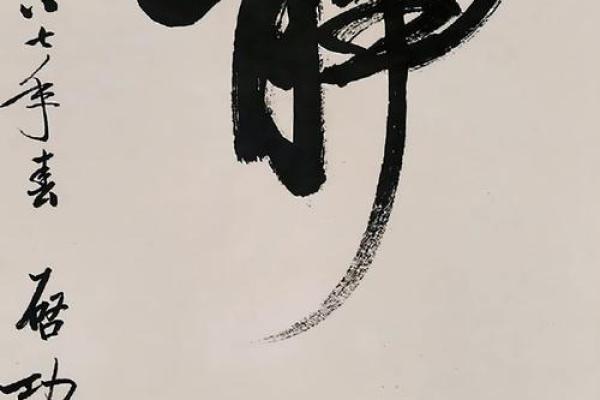 19881216出生的命理解析：探索命运中的机遇与挑战