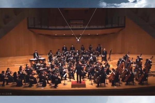 1994与1995年出生者的命运解析：财富与机遇的双重交响曲