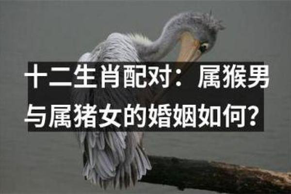 女土命与不同命婚姻配对分析：找到心灵共鸣的伴侣