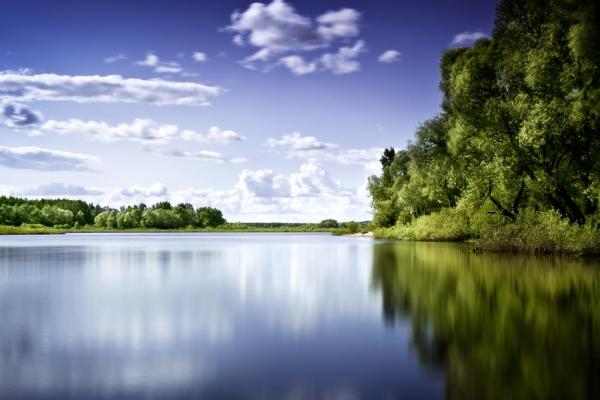 19811010命运解析：寻觅生命中的奇迹与启示