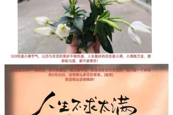 探寻农历1993年出生者的命理密码与人生之路 探寻农历1993年出生者的命理密码与人生之路