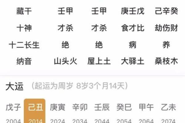 命也是命:平凡生活中的不平凡意义 命也是命:平凡生活中的不平凡意义