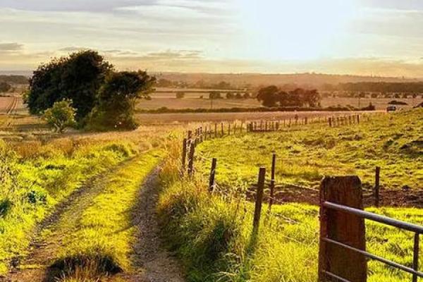 命犯天罗地网怕什么？解读人生中的困境与出路
