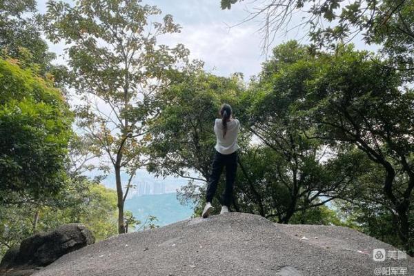 以“桃花源”命名的新境界：从美景到心境的成语接龙之旅