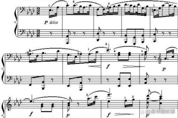 命运的交响曲：探索人生的选择与塑造之道