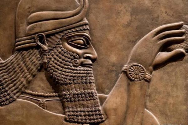 水命与木命：楼层选择的智慧与奥秘