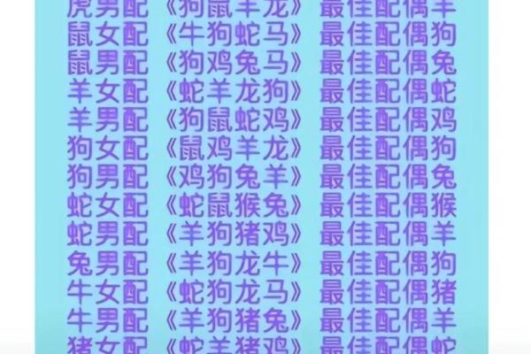揭秘2024年度运势：你命中注定的机遇与挑战！