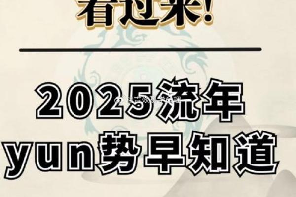 命里带桃花，揭示你的人际魅力与情感运势！