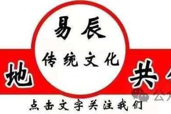 命卦与命理：理解宝贵的运势密码与生活哲学的区别