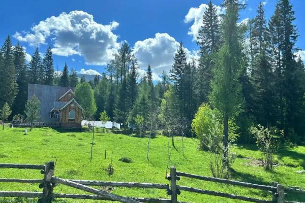 探秘20000412出生者的命运与性格特征