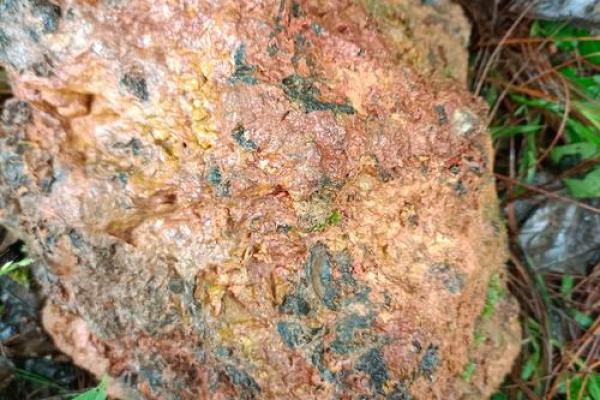 揭开2340年生肖之谜：命理与未来的奇妙探寻