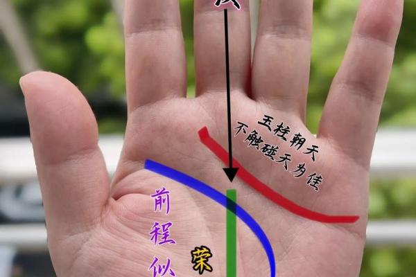 如何判断自己的命是什么命：探寻命运的奥秘与智慧