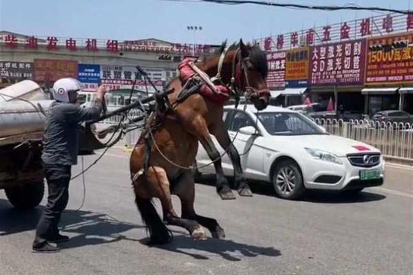 富命不如贵命:何为命运的真正价值? 富命不如贵命:何为命运的真正价值?