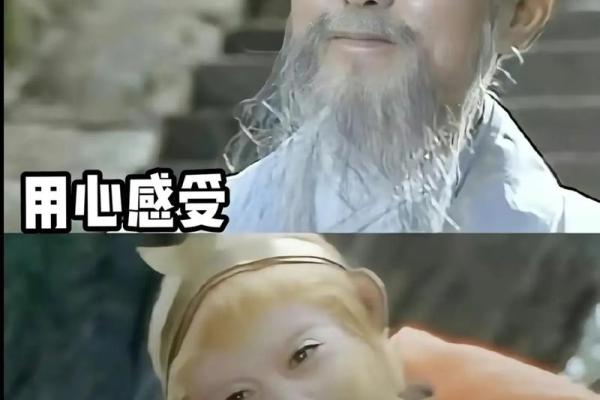 1979年土命的秘密:你未曾了解的命运轨迹与人生哲学 1979年土命的秘密:你未曾了解的命运轨迹与人生哲学