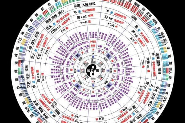 男命与女命的不同：探寻命理背后的秘密与智慧