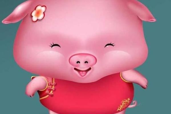 深入探索2019属猪人的命运与性格特征分析