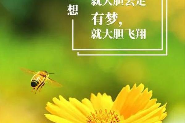 命理缺金者的独特人生：如何找到属于自己的光辉路途