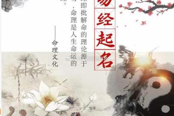 1979年6月的命理特征与个人发展之道 1979年6月的命理特征与个人发展之道