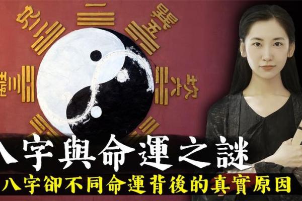 1976年出生的命运解析：探寻命理中的深意与人生智慧