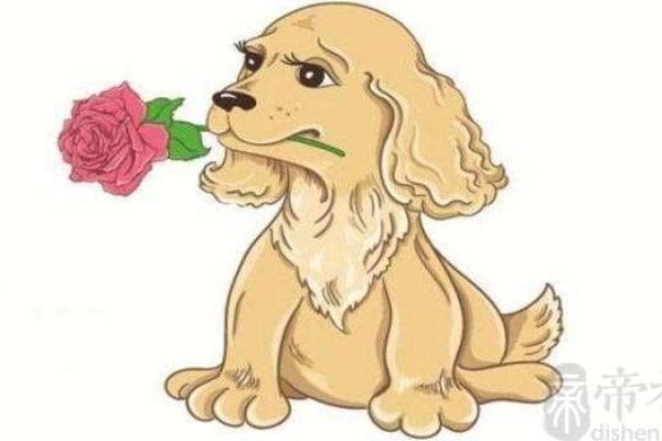 属狗52子时女的命运解析与人生运势