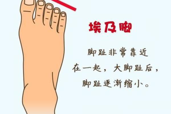 根据女人脚趾长短看命运，揭秘人生不同境遇！