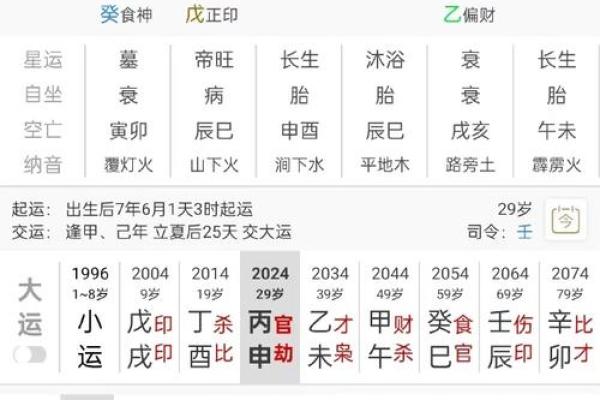 探秘辛巳己亥丙子命理：命运背后的深层次解析与人生指引