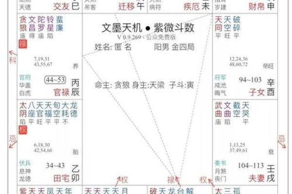 命理凶星入住命盘的深远影响与解读