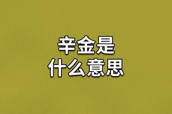 探索石榴木命的财富奥秘：如何与金命协同共生