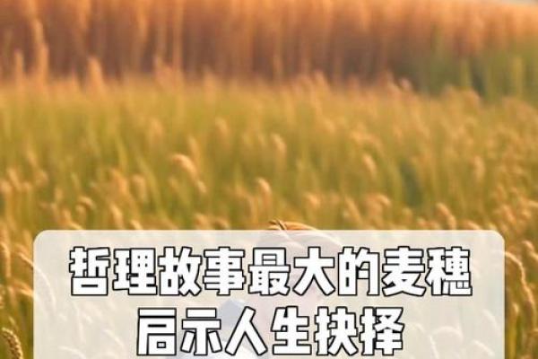 解析农历1996年2月8日出生命运的奥秘与人生启示 解析农历1996年2月8日出生命运的奥秘与人生启示