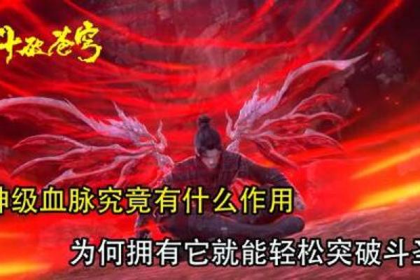 揭开20022的神秘面纱：它究竟代表什么命运？