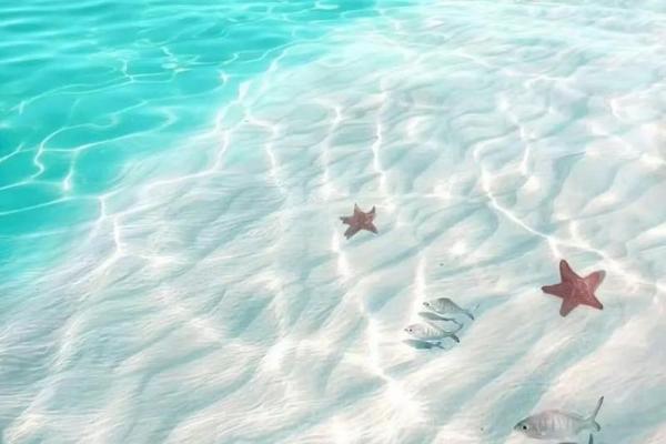 探索19950908出生者的命运与人生旅程 探索19950908出生者的命运与人生旅程