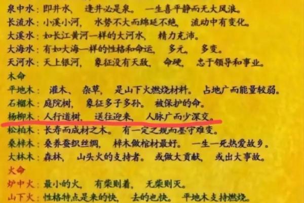 2007年火命女孩的命理解析与佩戴建议