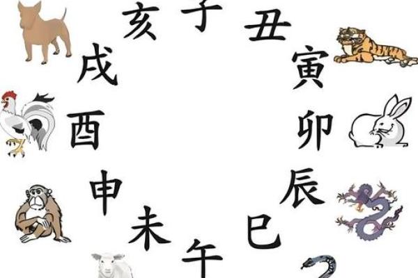 1982年属猪人的命运与个性解析：智慧与财富的结合之路