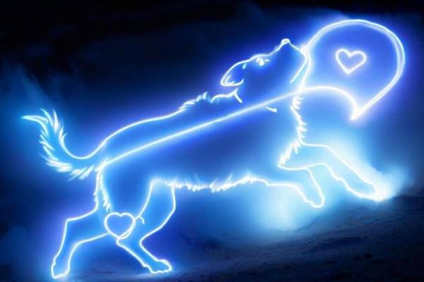 属兔命缺水的命理解析及其对策