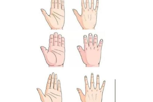 为何金命人更具优势？深入解密金与水命的差异