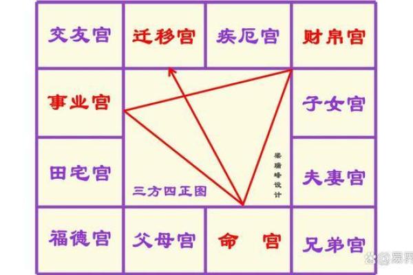 探索命带紫薇星的神秘命格及其人生轨迹