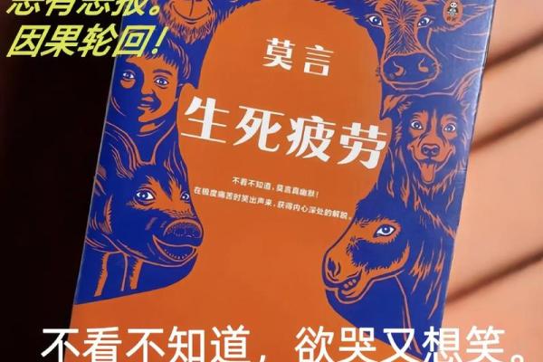 命运的轮回:相信与否的心灵思考 命运的轮回:相信与否的心灵思考
