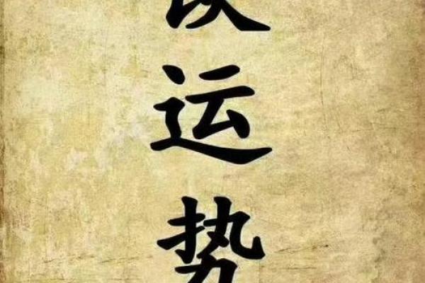 富命与贵命的区别：财富与尊贵的双重探讨