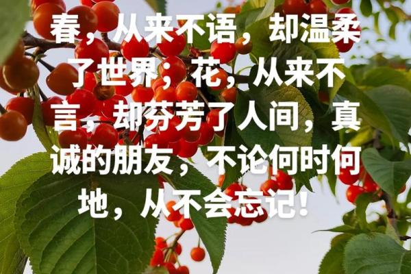 火命木命的床选择：让每一夜都安然入眠！