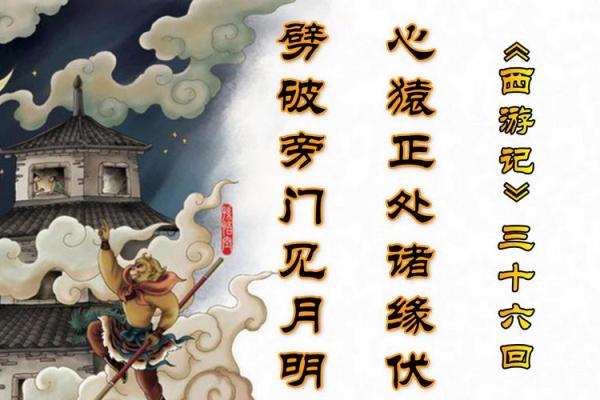 用成语解读人生百态，西风古道情深似海